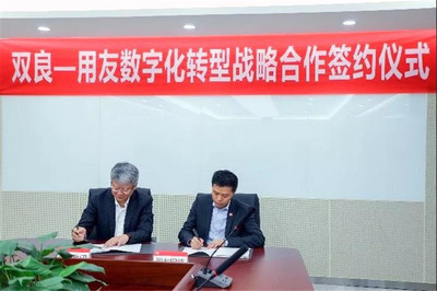 陸志鵬履新中國電子，董明珠回應雷軍賭約 網絡技術咨詢服務行業新動態